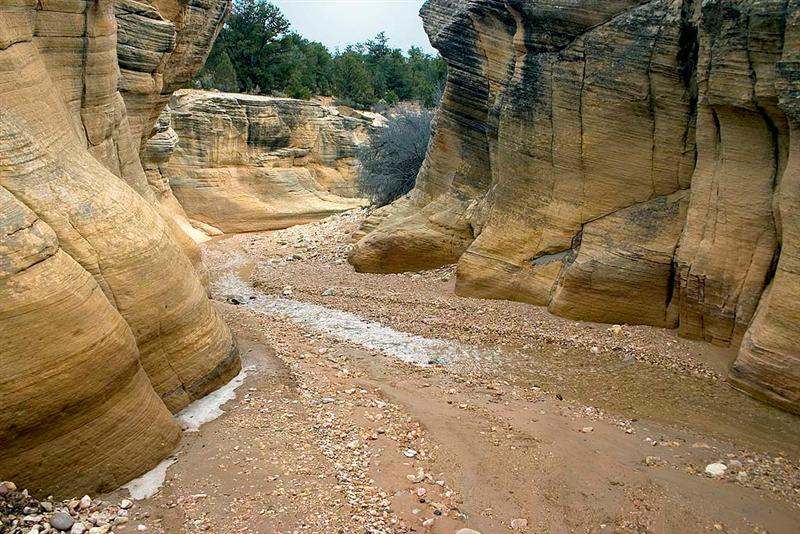 Willis Creek 4