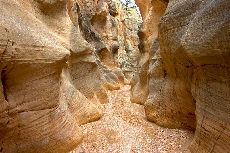 Willis Creek 8