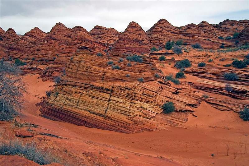   N Coyote Buttes Trail 13