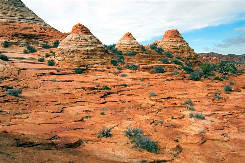   N Coyote Buttes Trail 19