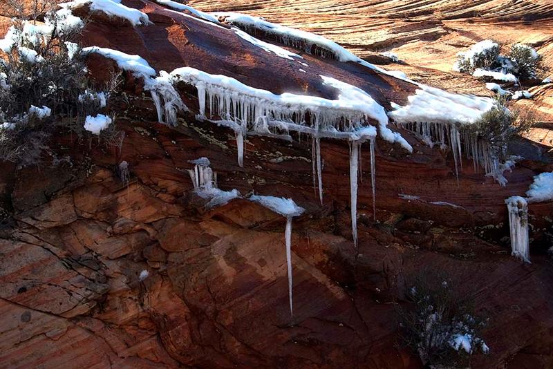  Zion NP in Winter 23