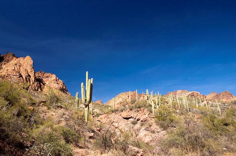 Apache Trail 11