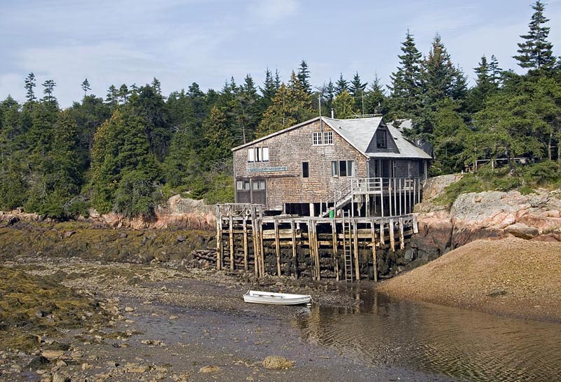  Schoodic Peninsula 3