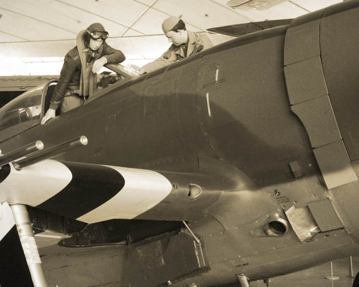 P47D.jpg