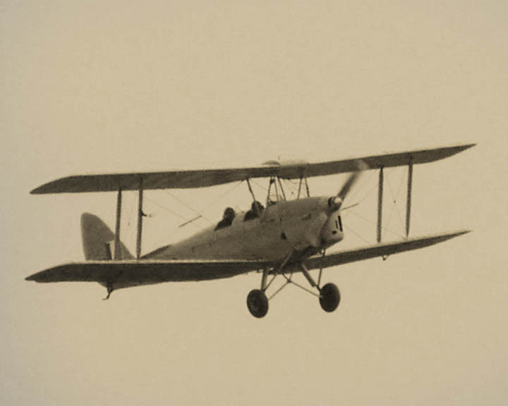 Tiger Moth.jpg