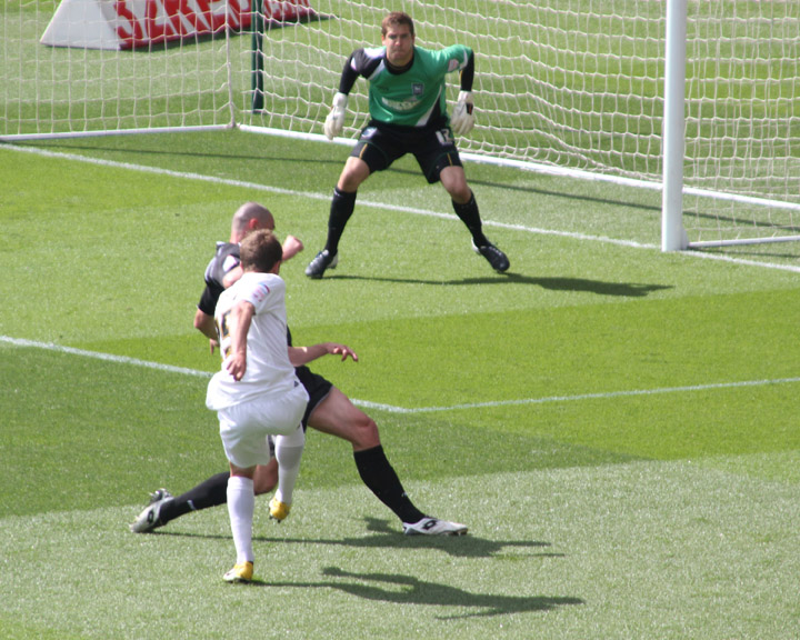 Borini Shot