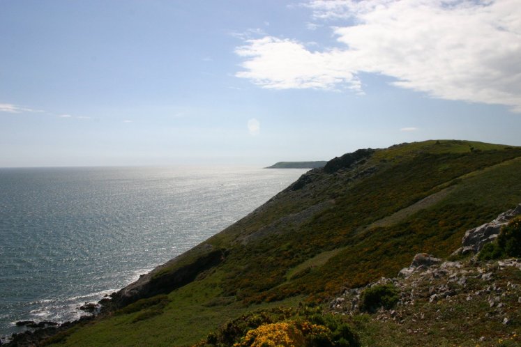 Oxwich
