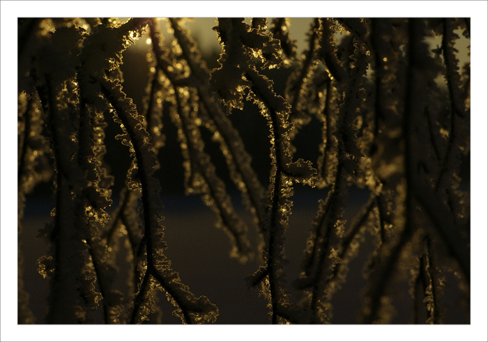 Evening crystals.jpg