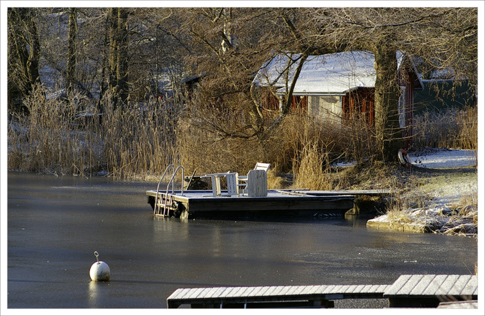Frosen surface.jpg