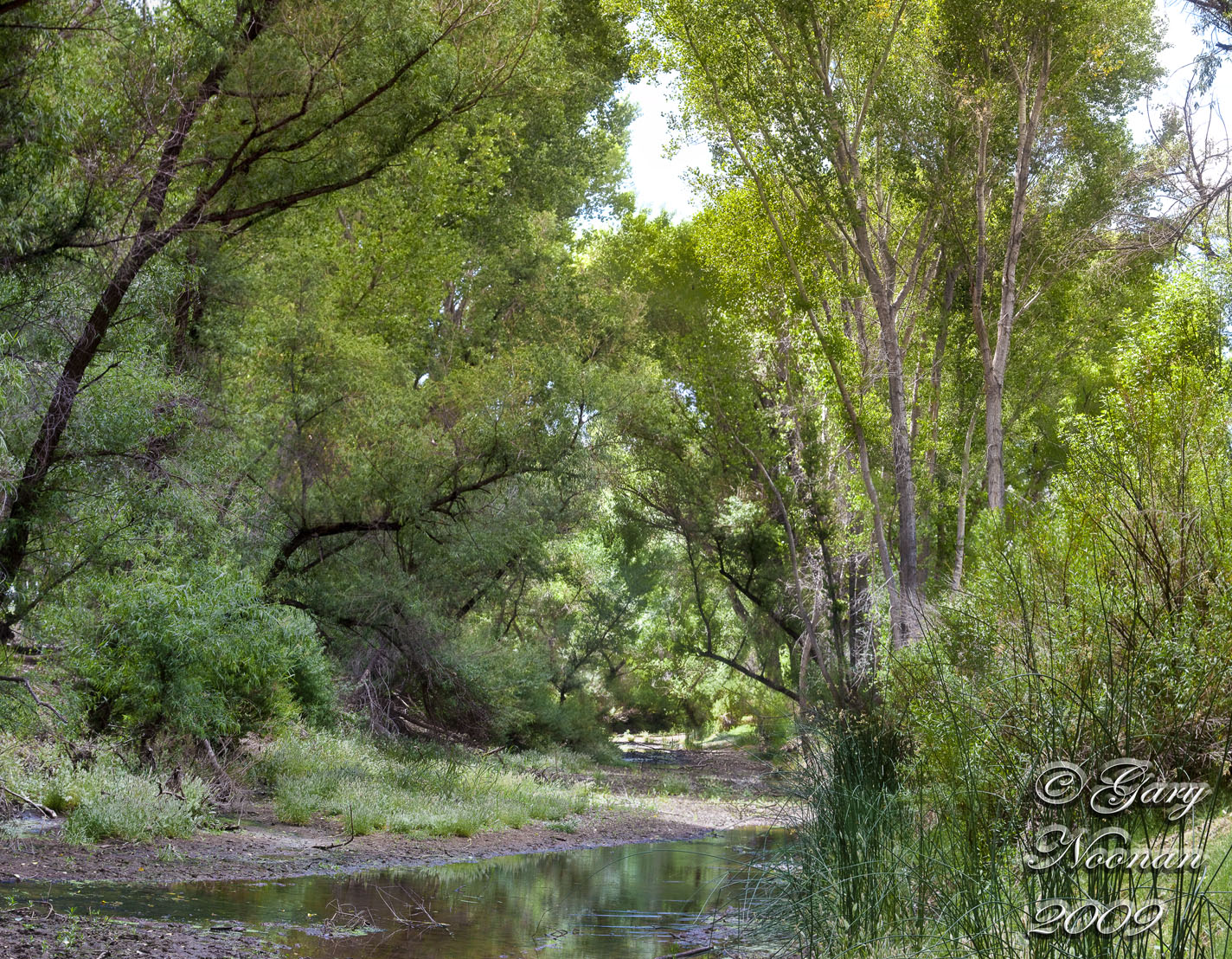 river pan looking s cr1 q2a copy.jpg