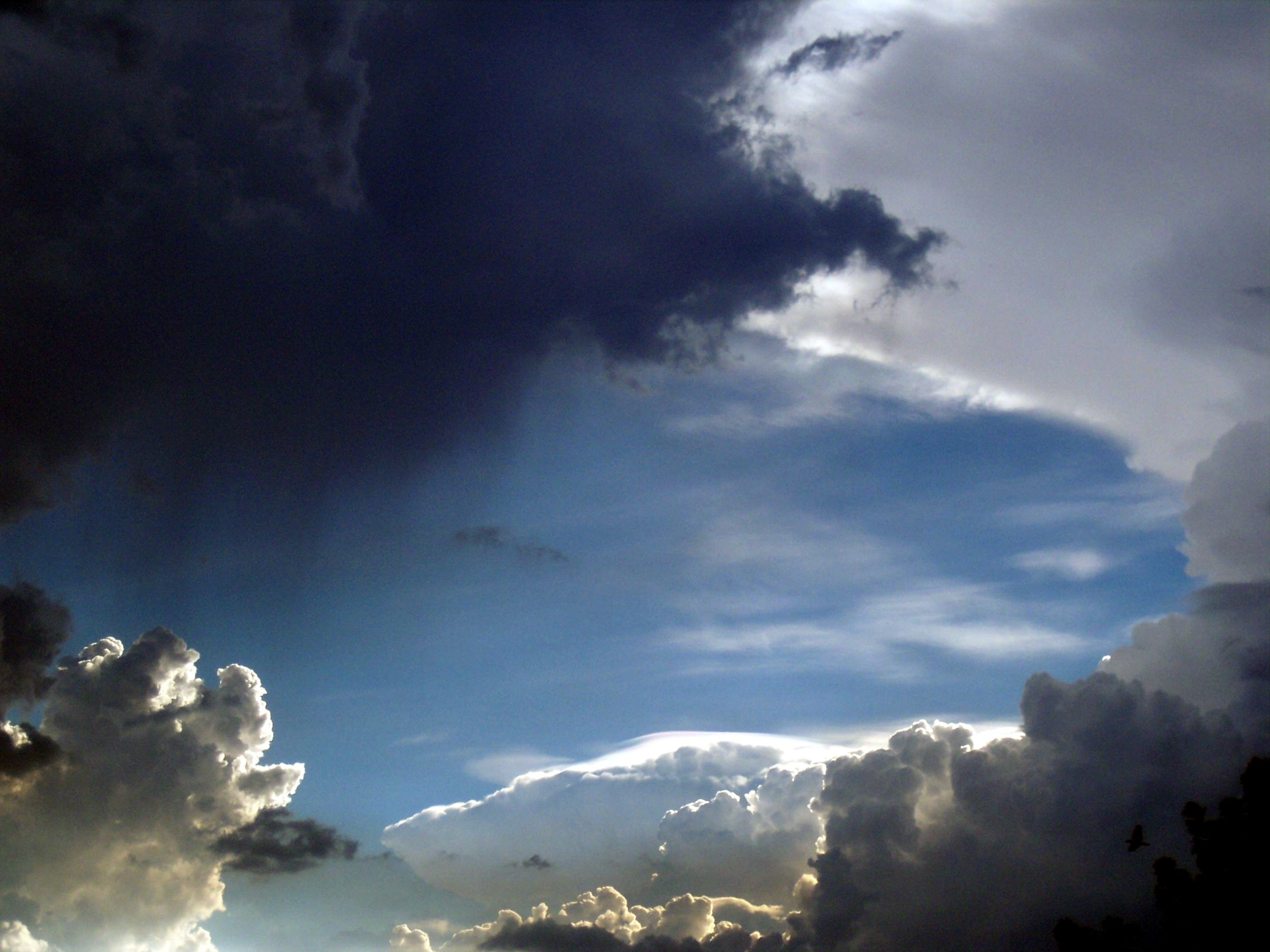 In the clouds