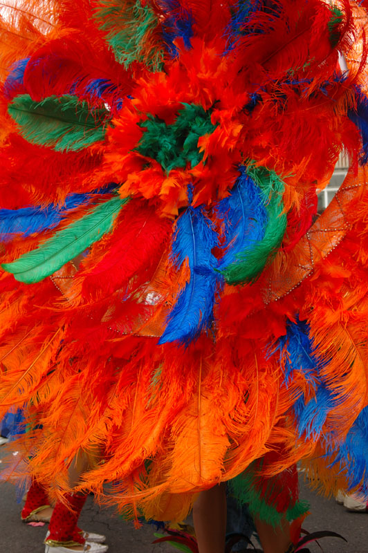 Feather duster 2