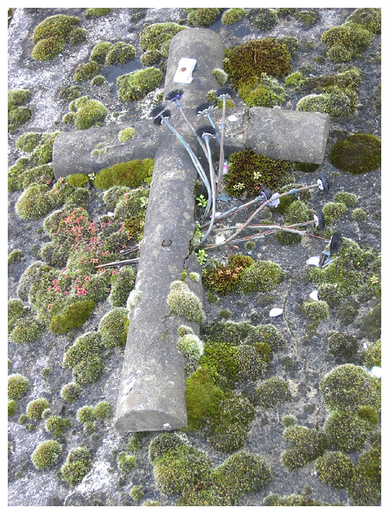 Cross on a grave