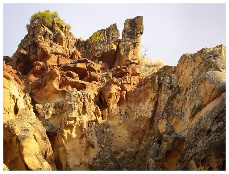 Virgin River Arizona