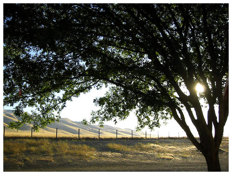 California Reststop Sunset