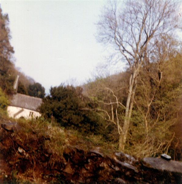 Colour scan (18) (Medium).jpg