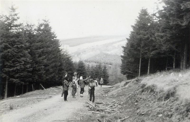 Gang (30) (Medium).jpg