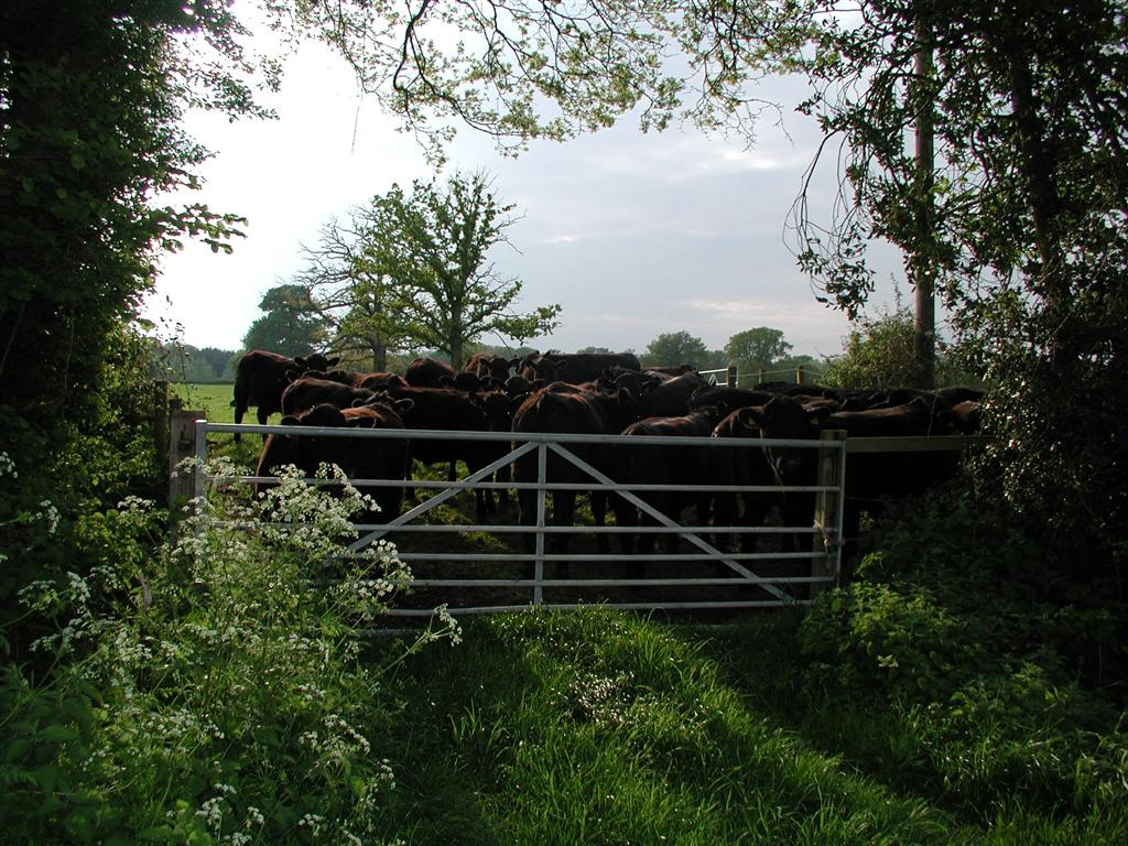 Village gates 2006