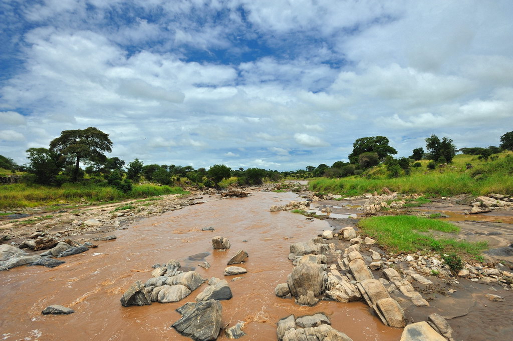 Tanzania 2010 2894.jpg