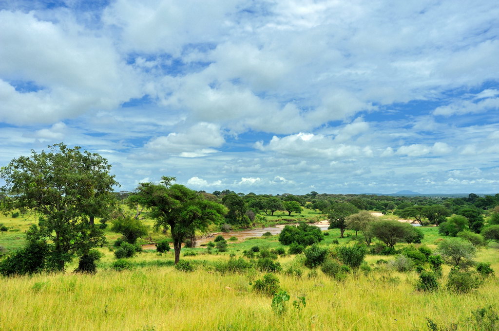 Tanzania 2010 2909.jpg