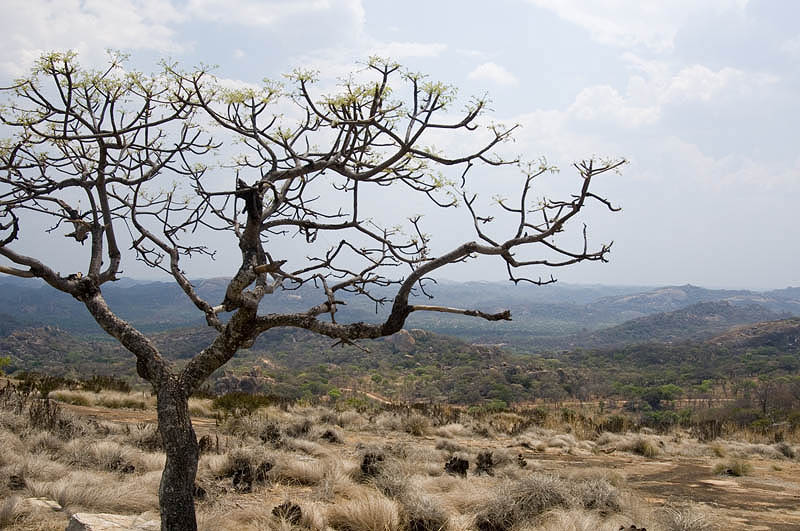 Vista at World's View, Matopos