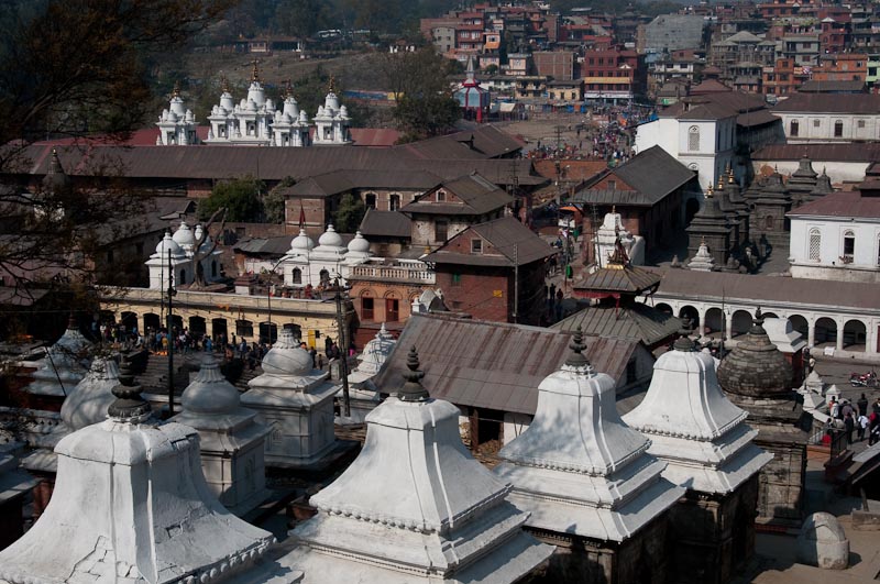 Pashupatinath's temples from beyond the Bagmati