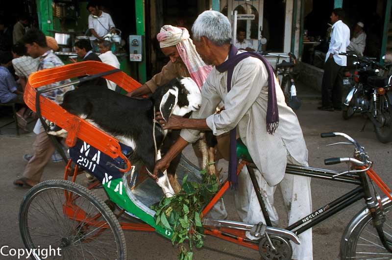 His last ride... in Chandni Chowk