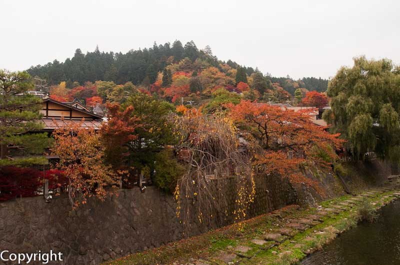 Along the Miyagawa River 