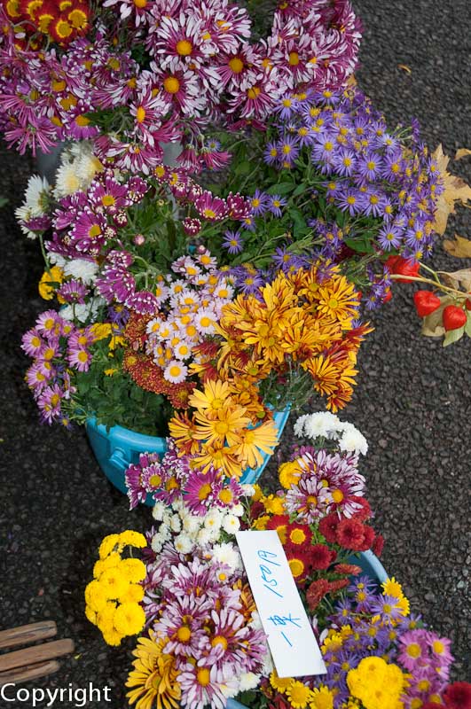 Bouquet at the morning market
