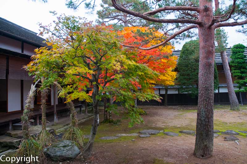 Gardens of the Takayama Jinya