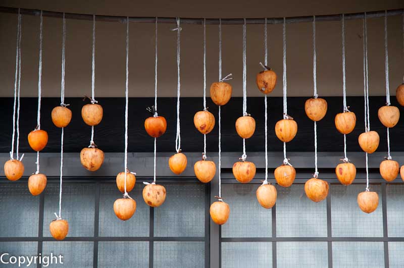 Persimmons as an art form