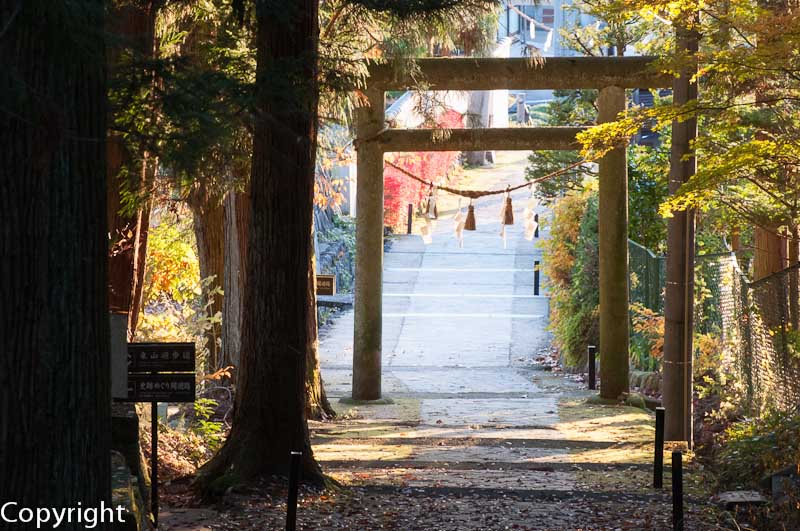 Looking back downhill from the Higashiyama-shinmae Shrine