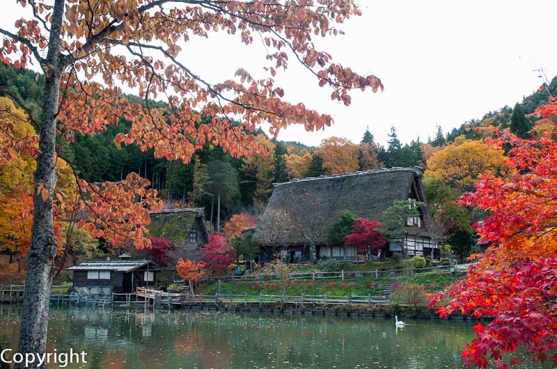 Autumn colours around the lake