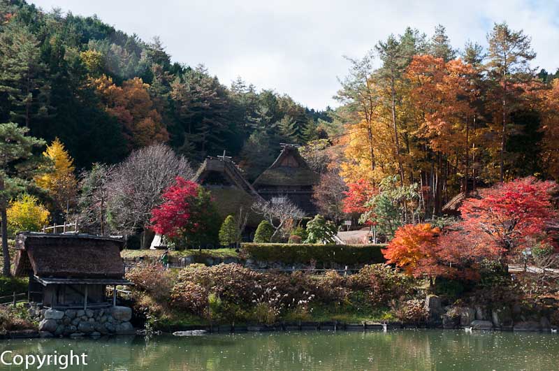 Autumn colours around the lake