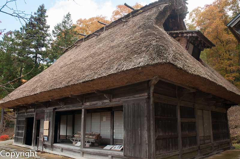 Traditional thatch