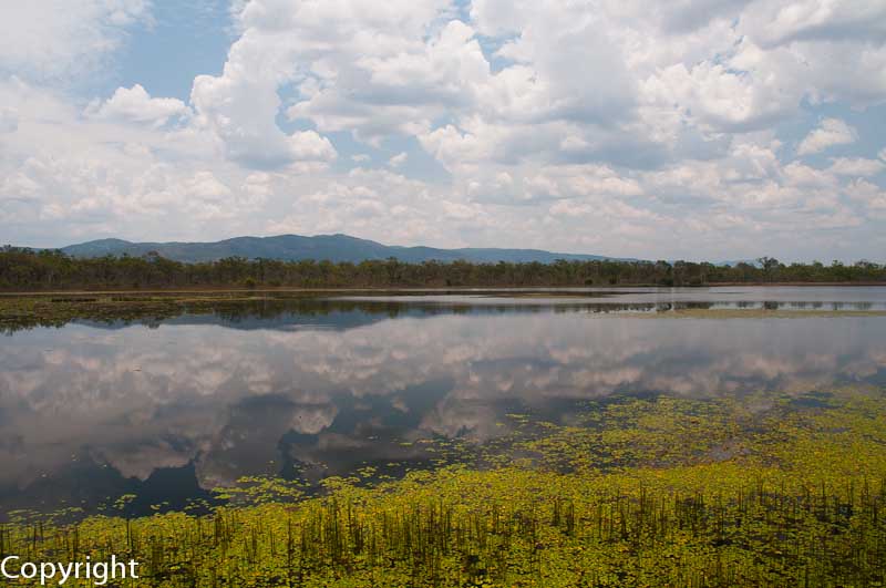 Mareeba Wetlands Reserve