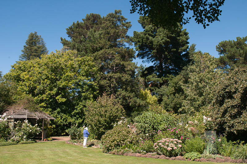 Estate gardens at Brickendon