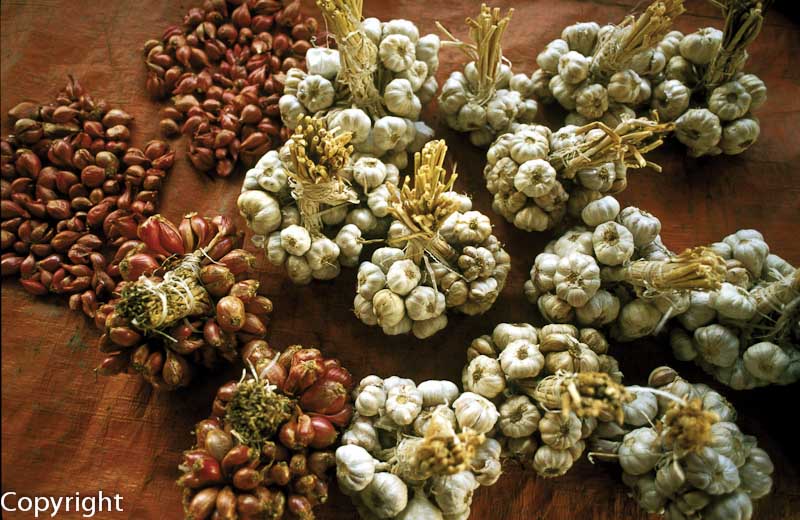 Garlic cloves, Maubisse market