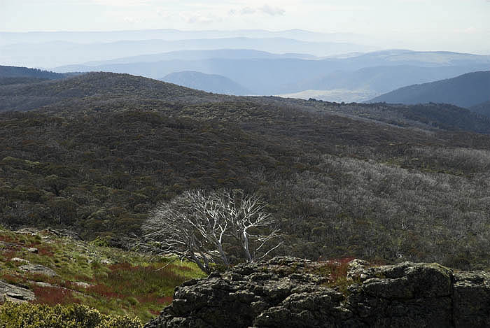 From the Mt Cope track