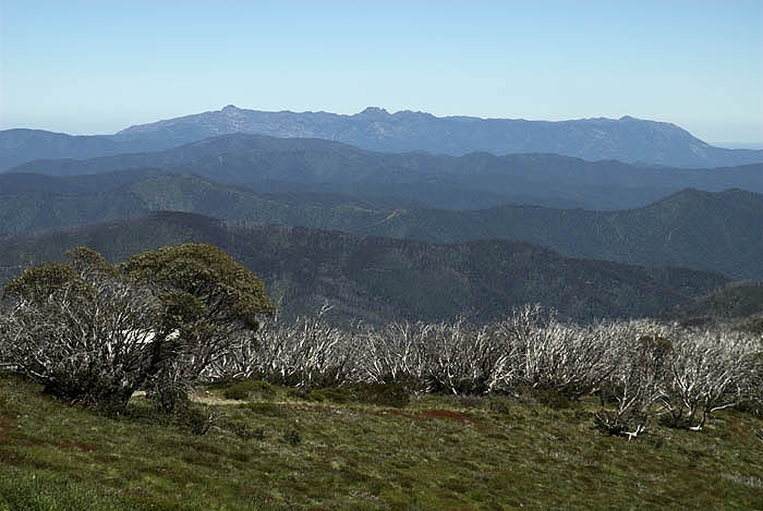 Mt Buffalo from Hotham Heights
