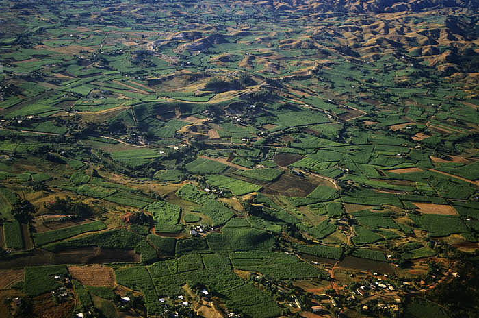 Aerial view of canefields