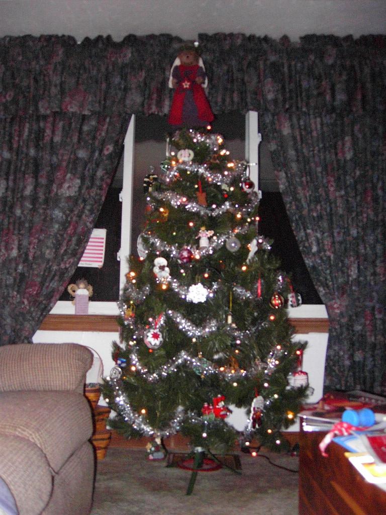 Happy Holidays from our house to yours