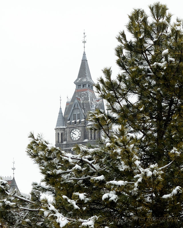   20100224_19 City Hall from Carousel.JPG