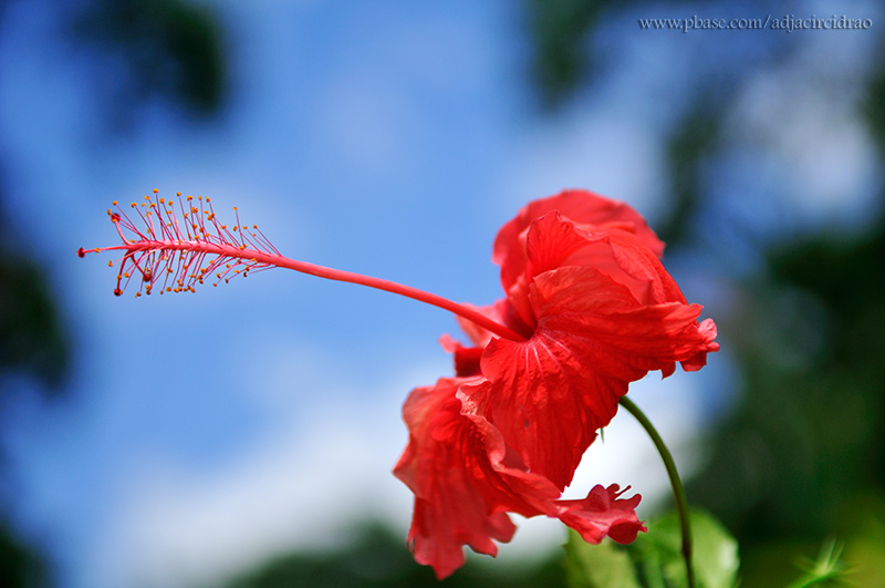 Natureza
