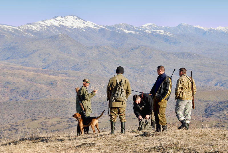The hunters  thought of the wolves....