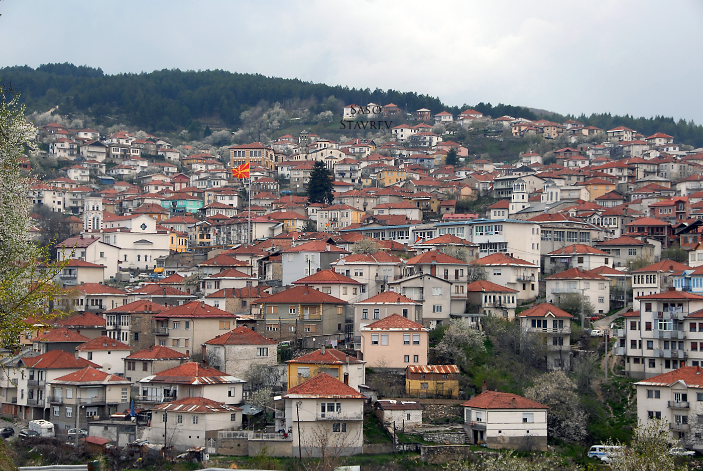 Memorial House Todor Proeski