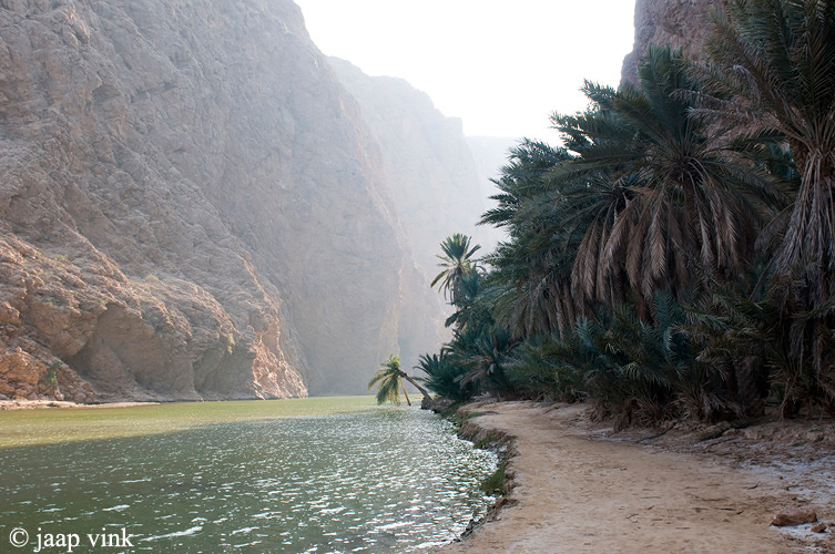 Wadi Shab