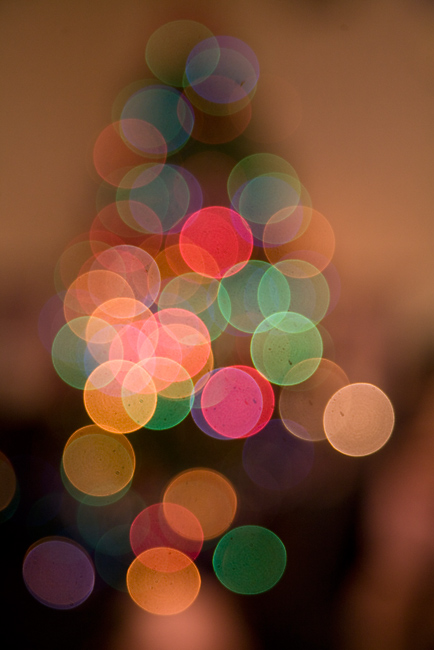 Dec 27 - defocussed Christmas tree