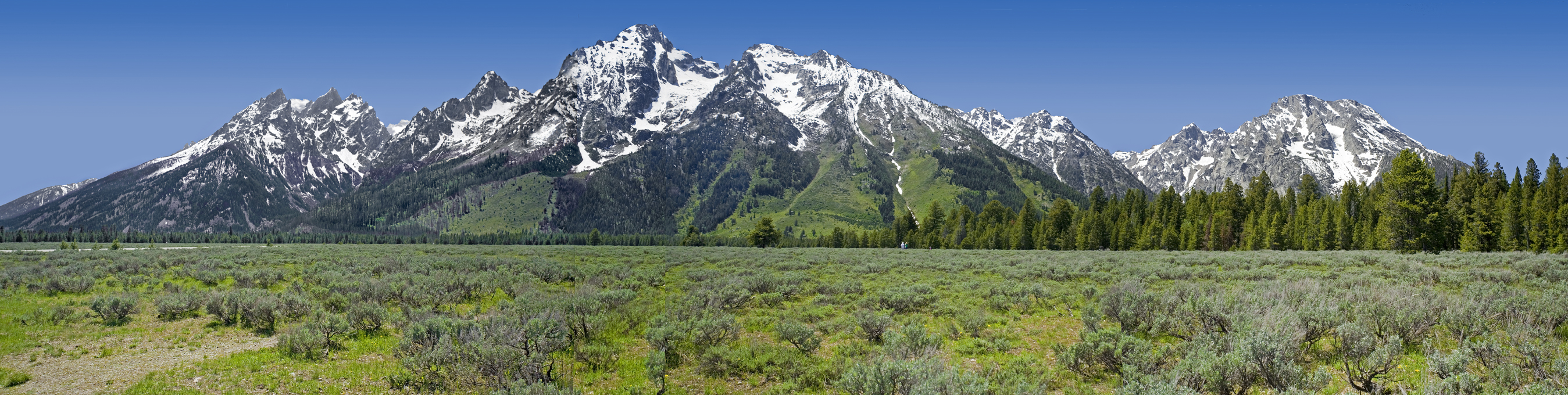 tetons mid morning 1, Grand Tetons