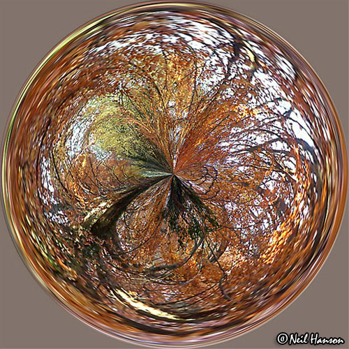 Autumn2